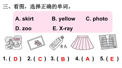 外研版三起三年级下册Review of Module 10课件（共24张PPT)