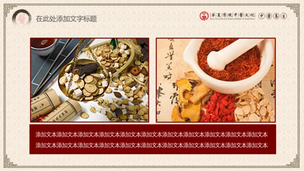 传统中医学中医院中医文化中草药PPT模板