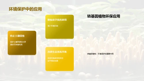 转基因植物