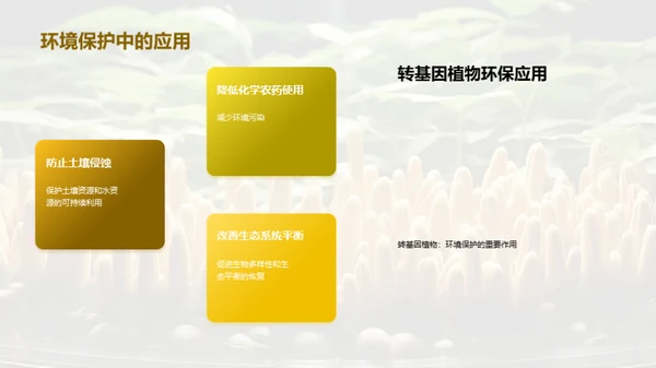 转基因植物