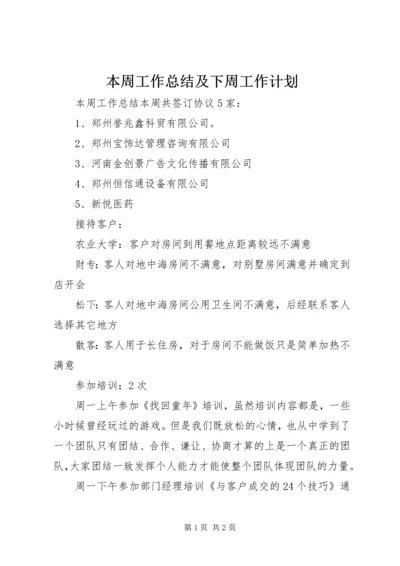 本周工作总结及下周工作计划.docx