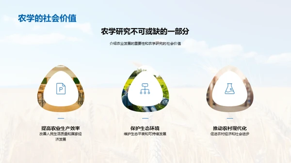 农学研究全景解析