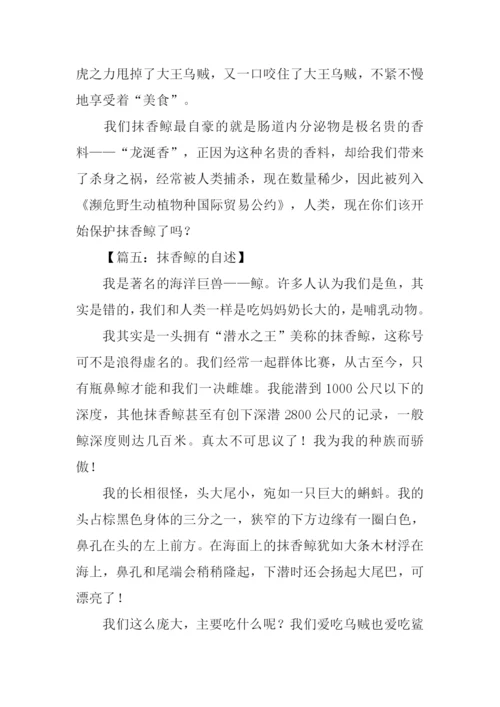 抹香鲸的自述500字.docx