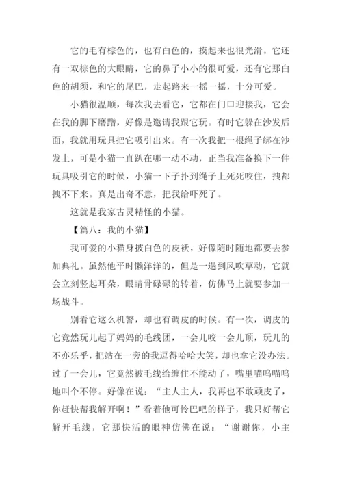 我的小猫作文.docx