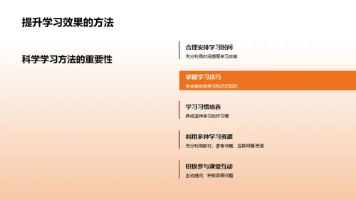 二年级全面学习指南
