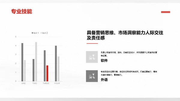 灰色简约大气个人简历PPT案例