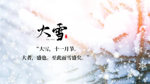白色简约实拍雪景中国传统节气大雪节气介绍PPT