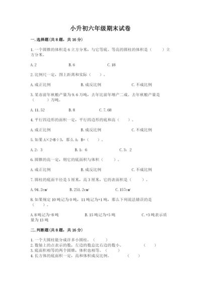 小升初六年级期末试卷（典型题）.docx