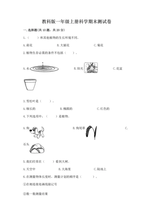 教科版一年级上册科学期末测试卷重点班.docx