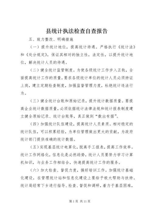 县统计执法检查自查报告.docx