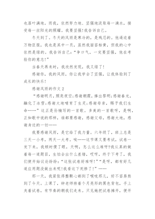 感谢风雨的议论文4篇.docx