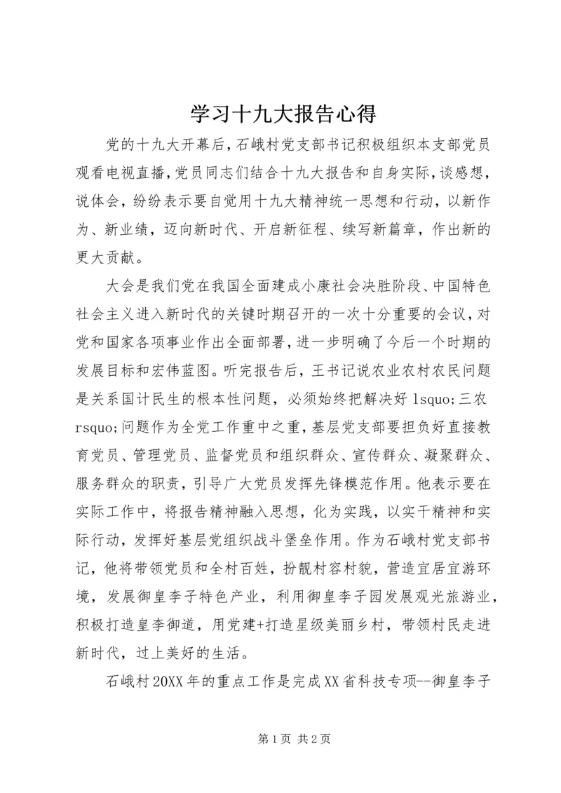 学习十九大报告心得 (18).docx