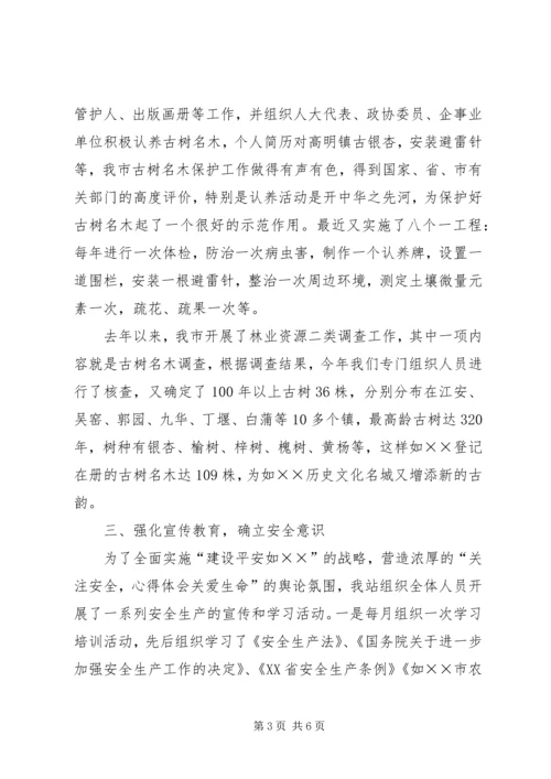 林业站安全生产工作总结及工作计划 (2).docx