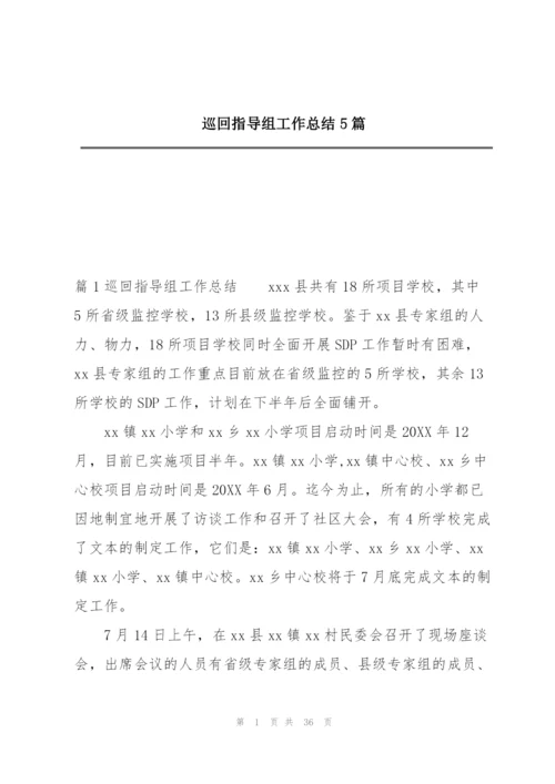 巡回指导组工作总结5篇.docx