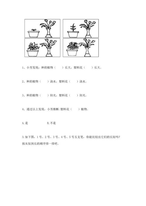 教科版科学一年级上册期末测试卷及参考答案（培优a卷）.docx