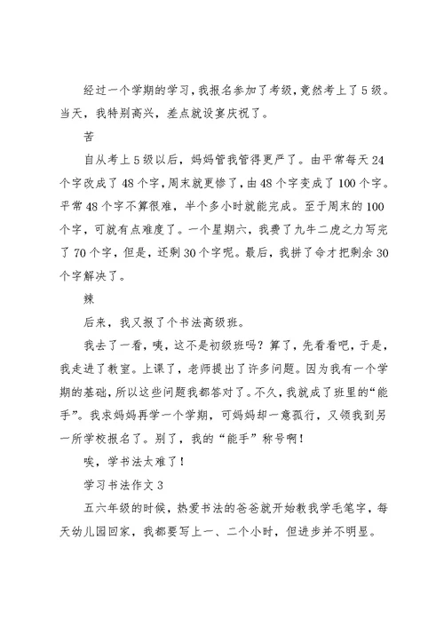 学习书法作文(共13页)