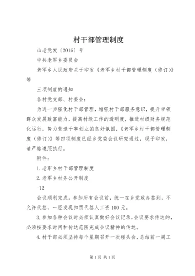 村干部管理制度 (5).docx