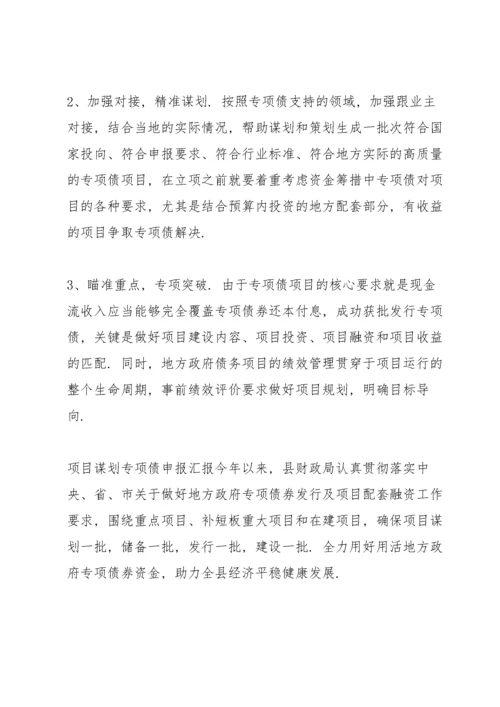 项目谋划专项债申报汇报.docx