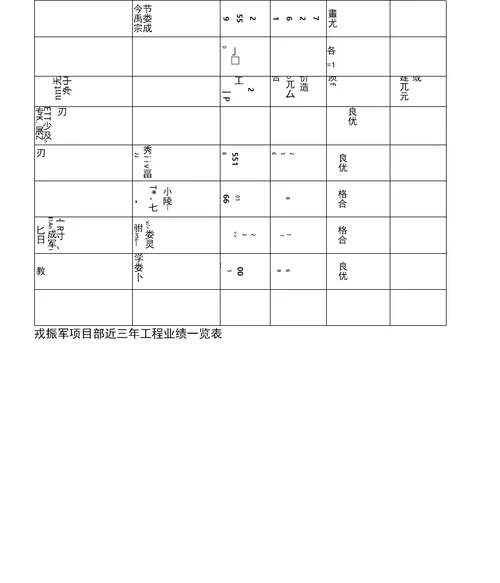 项目负责人情况