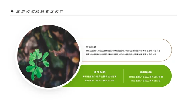 唯美绿色植物发芽植物生长敬畏生命PPT模板