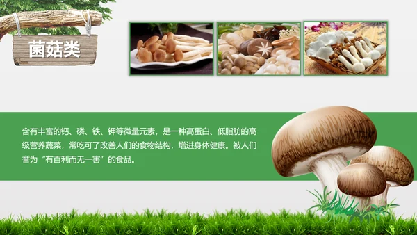 食品安全营养学饮食科普PPT模板