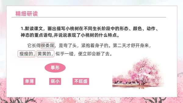 粉色水彩水墨一颗小桃树课件PPT七年级语文下册PPT七年级下册语文课件