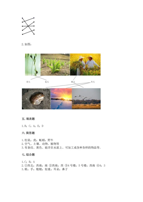 教科版科学二年级上册《期末测试卷》附参考答案（预热题）.docx