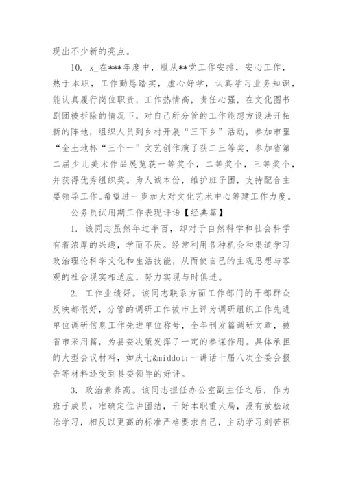 公务员试用期工作表现评语.docx