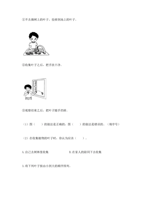 教科版科学一年级上册第一单元《植物》测试卷【必刷】.docx