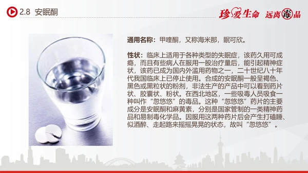 世界禁毒日宣传禁毒知识教学PPT模板
