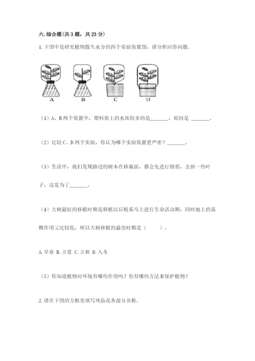 科学四年级下册第一单元《植物的生长变化》测试卷【必刷】.docx