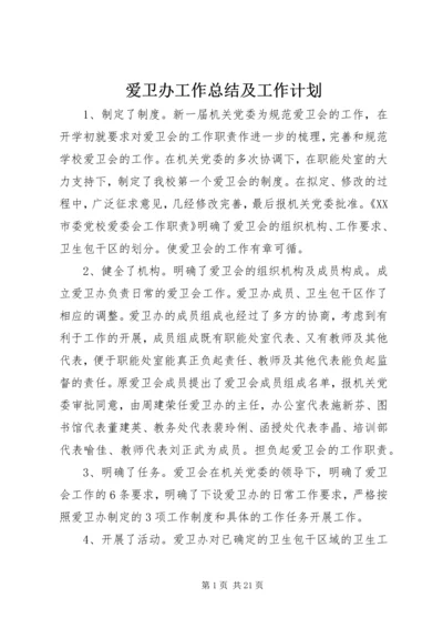 爱卫办工作总结及工作计划.docx