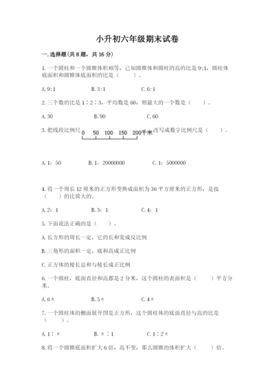 小升初六年级期末试卷（能力提升）.docx