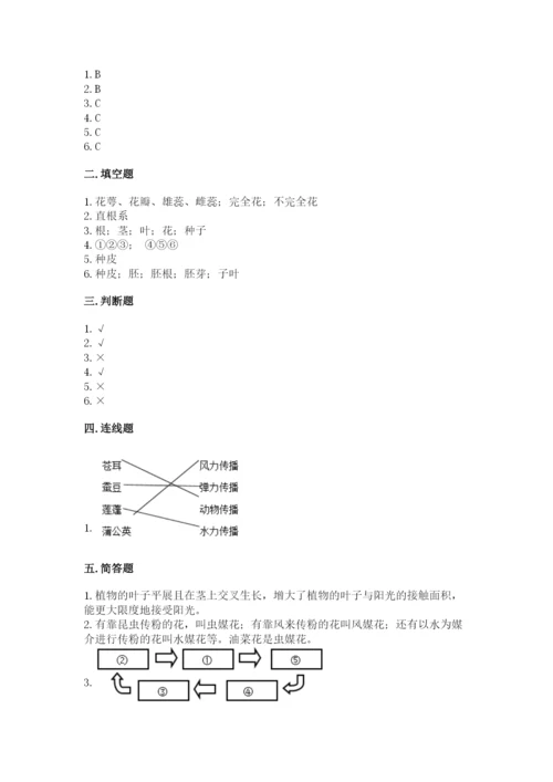 科学四年级下册第一单元《植物的生长变化》测试卷（基础题）.docx