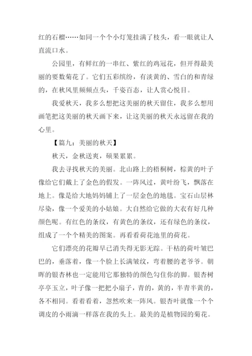 美丽的秋天作文350字-1.docx