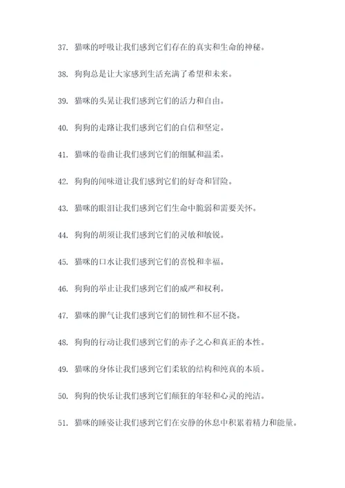 一猫二狗的好词好句