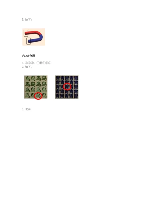 教科版小学科学二年级下册 期末测试卷（培优）.docx