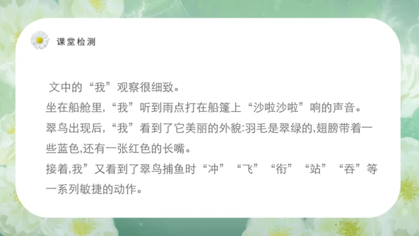 第15课《搭船的鸟》课件