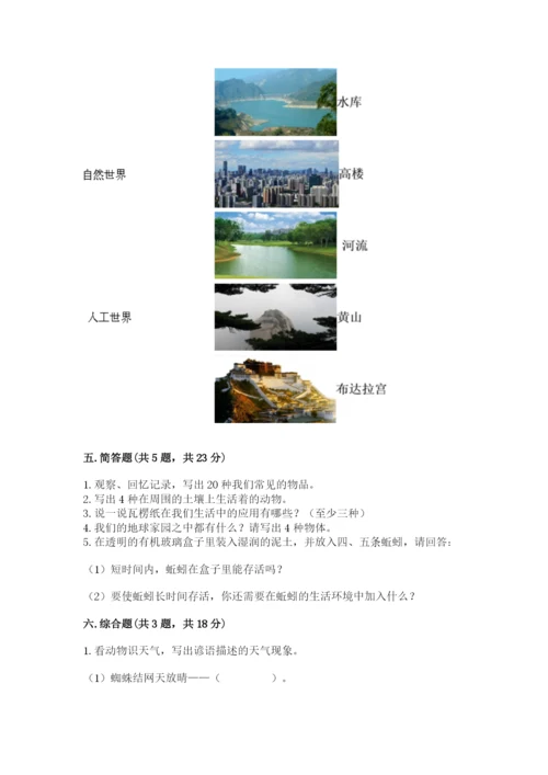 教科版二年级上册科学期末测试卷（考点精练）.docx