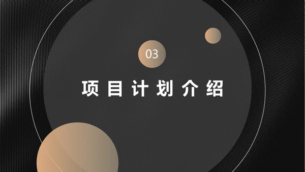黑金商业计划投资收益报告通用PPT模板