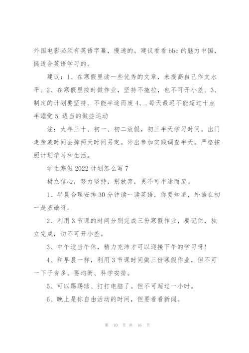学生寒假2022计划怎么写10篇.docx