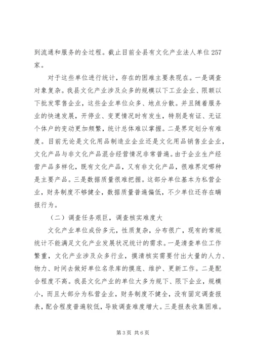 县文化产业统计工作情况汇报.docx