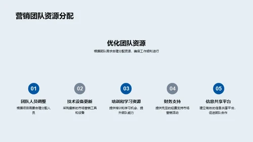 市场营销策略与成效