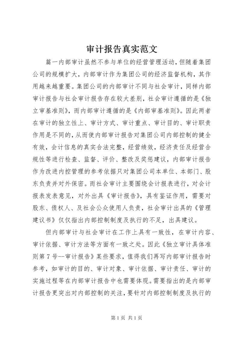 审计报告真实范文.docx