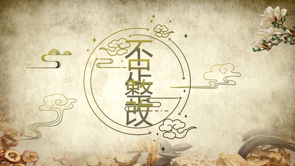 中医文化工作总结汇报计划动态PPT模板