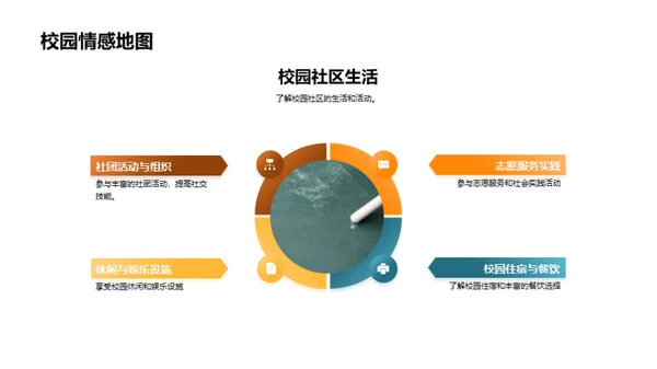 大学生活全景解析