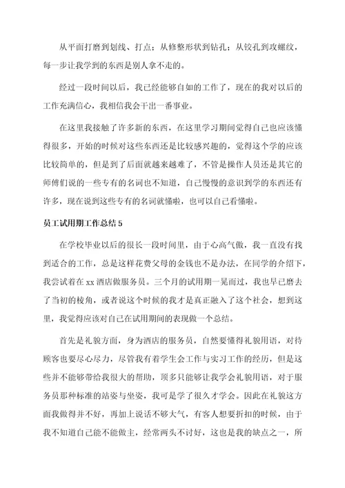 员工试用期工作总结范例
