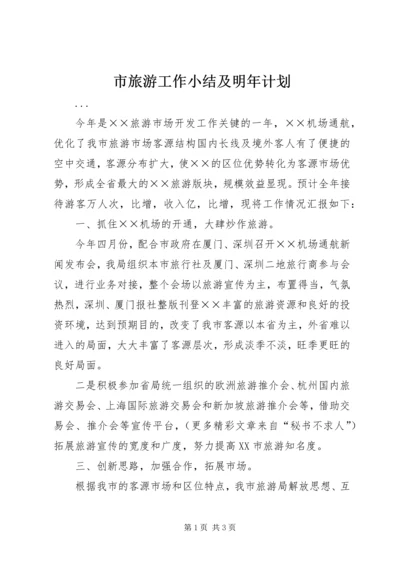 市旅游工作小结及明年计划 (9).docx