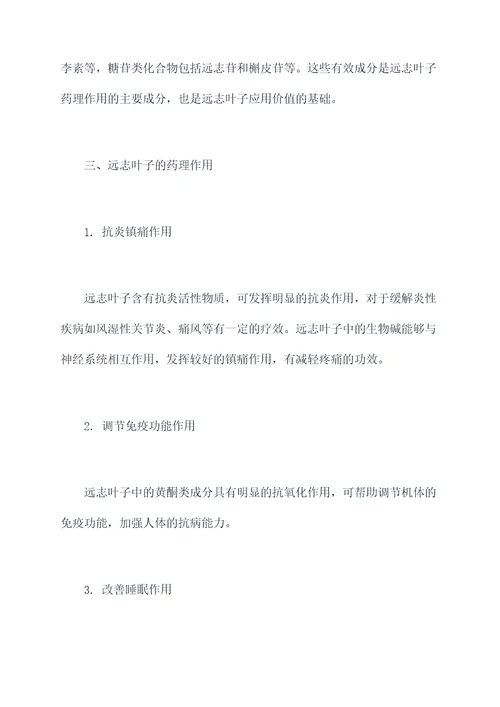 远志叶子功效与作用