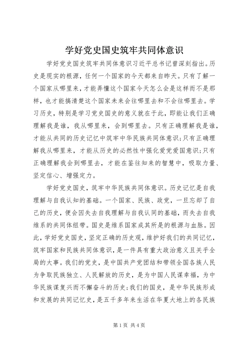 学好党史国史筑牢共同体意识.docx